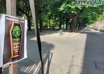 Terni, abbattimento alberi alla ‘Passeggiata’. Iapadre: «Tecnicamente è fuori discussione»