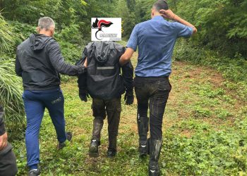 Si getta nel Tevere per togliersi la vita: salvato dall’Arma