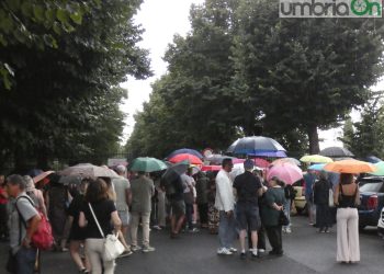 Terni, abbattimento alberi alla ‘Passeggiata’. Iapadre: «Tecnicamente è fuori discussione»