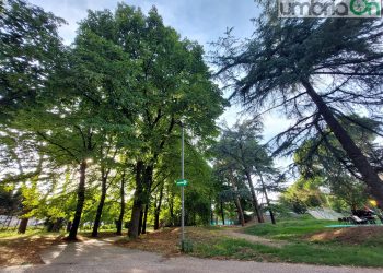 Terni, il Comune ‘ripunta’ il parco di Cardeto: «Non garantito equilibrio Pef. Ridurre le perdite»