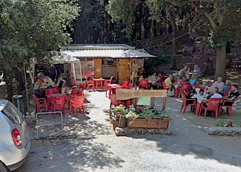 Spoleto: non c’è pace nemmeno al Bosco Sacro. Svaligiato il chiosco di Monteluco