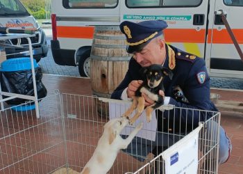 Terni: la polizia Stradale in prima linea con ‘La carovana della sicurezza’