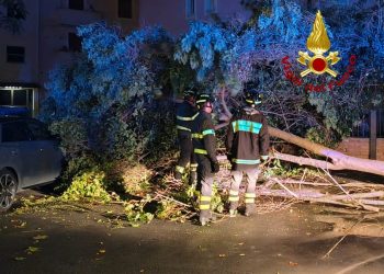 Umbria: il maltempo si fa sentire. Dal pomeriggio raffica di interventi