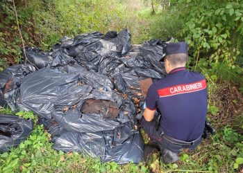 Guaina bituminosa abbandonata in campagna: denunciati operaio e titolare di una ditta