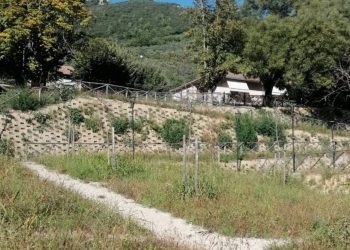 Ferentillo: «Piazza Agorà ha bisogno di manutenzione»