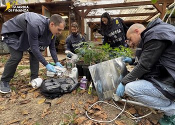 Bazar della droga a casa del titolare di una ditta di manutenzioni. Due arresti a Città di Castello