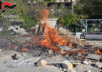 Arrone: operai bruciano bancali in legno. Denunciato titolare della ditta
