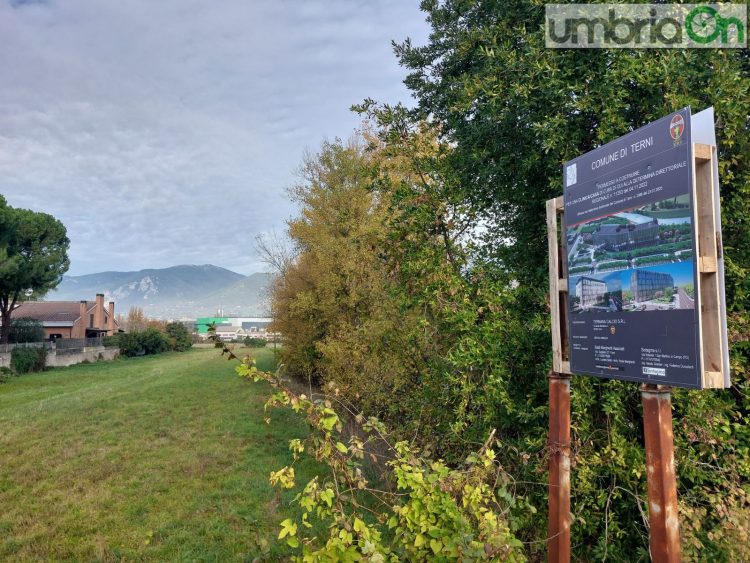 L'area della clinica