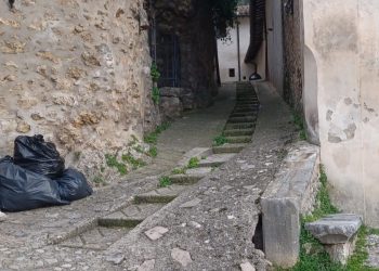 «Vicoli più puliti. Ne va della nostra immagine»