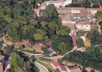 Terni, parco ‘Le Grazie’: Alfa in azione per gli alberi, firmata l’ordinanza