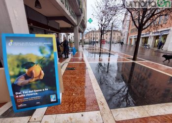 Terni, tornano le ‘arance della salute’ per sostenere la ricerca