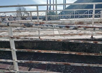 Il Pd: «Ad oggi Piediluco è nel degrado. Servono subito manutenzioni»