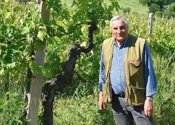 Addio a Leonardo Zanchi: storico volto del vino amerino