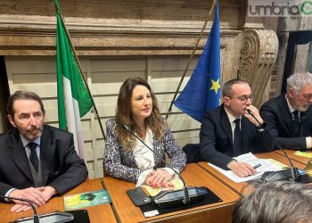 Terni ‘universitaria’. Comune e UniPg: «Insieme possiamo fare grandi cose»