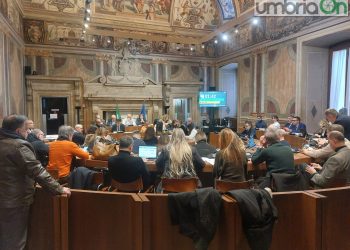 Comune Terni, approvato il nuovo statuto. Ok a emendamento Pd «per principio di democrazia»
