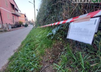 Terni: esche avvelenate in via Malnati. Sopralluogo e avviso