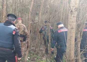 Droga nei boschi fra Baschi e Castel Viscardo: due arresti e una denuncia