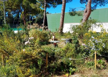Terni: pronto il giardino naturalistico del parco Cardeto