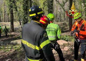 Addetto Afor si infortuna in una zona boschiva di Spello
