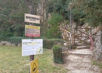 Terni, sentiero 4 cascata: problema cinghiali e detriti, Bandecchi ordina di spostare la casetta