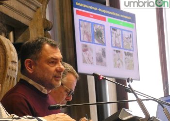 Terni Reti, utile netto da oltre 1 milione nel 2025. C’è la conferma per Campi come Au