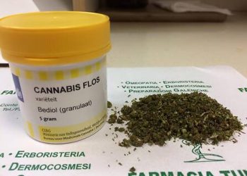 Sanità Umbria, 574 pazienti trattati con cannabinoidi e spesa da 718 mila euro