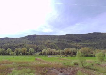 Terni, taglio di bosco ceduo per commercio di legna: no del Comune, Afor decisiva