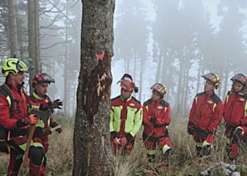 Terni: al Politeama arriva ‘Forest’. In campo anche il CAI