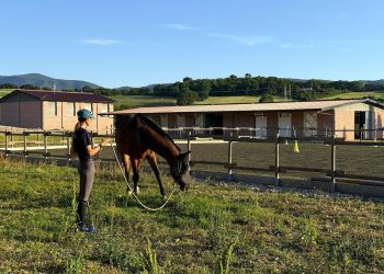 Eden SSD: a Narni il primo centro autorizzato Usl2 per gli interventi assistiti con il cavallo