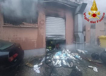 Terni: incendio nella notte in un negozio. Diversi animali morti