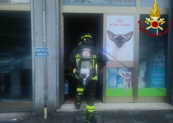 Terni: incendio nella notte in un negozio. Diversi animali morti