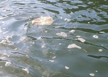 Piediluco: schiuma ‘sospetta’ fa scattare segnalazioni e accertamenti