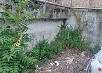 Terni: degrado e poca manutenzione in via Quattro Macine. La segnalazione dei residenti