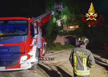 Maltempo, salice cade su tetto di una casa