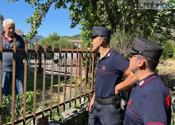 Arrone: bimba di 4 anni aggredita ai giardini. Il sindaco: «È stato un lupo. E l’ho incontrato»