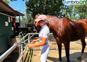 Narni: Elisabetta Canalis in gara al Club Ippico ‘Regno Verde’ – Foto e video