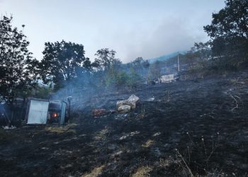 Incendio sul valico di Scheggia: quattro ettari di bosco in fumo. Resta alta l’allerta