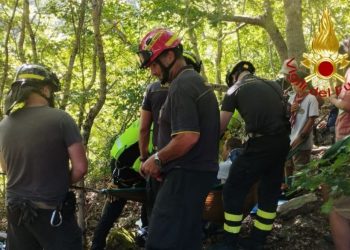 Giovane scout precipita da albero: trasportato d’urgenza in ospedale